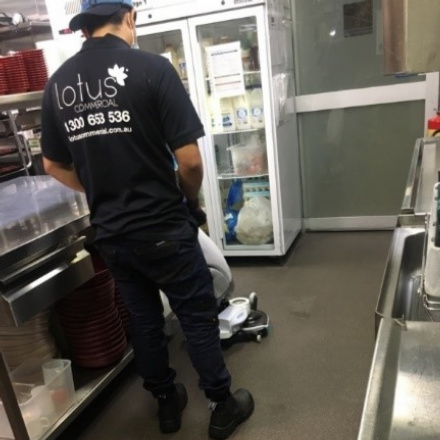 Lotus Commercial - Newcastle | Unit 9/46 Canavan Dr, Beresfield NSW 2322, Australia | Phone: 1300 653 536