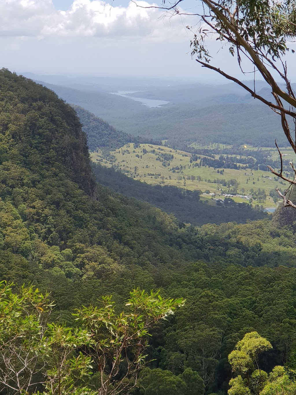 Lamington National Park - Binna Burra Section | park | Binna Burra Rd, Binna Burra QLD 4211, Australia