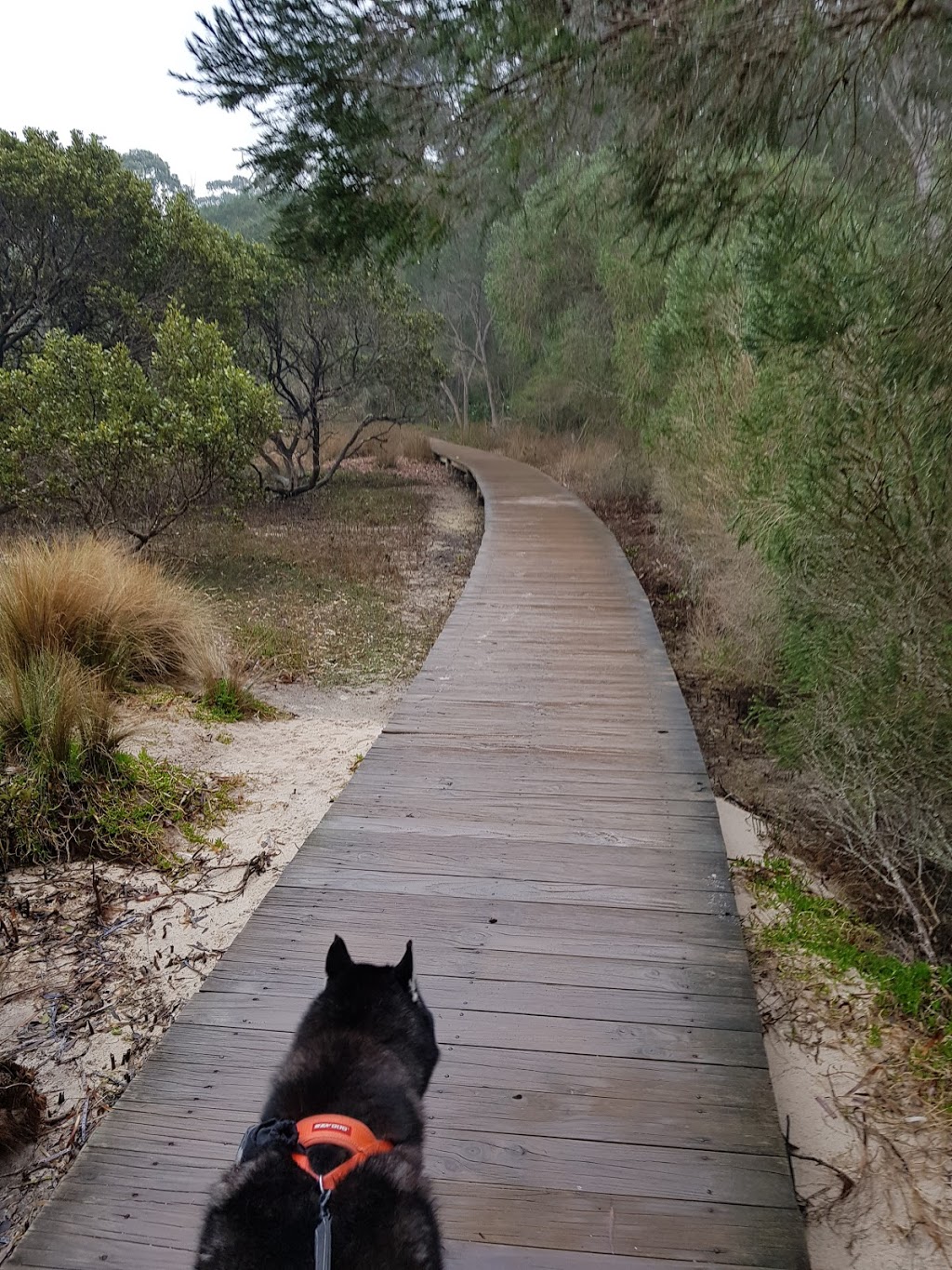 Bodalla on the Boardwalk | 6 Bodalla Pl, Merimbula NSW 2548, Australia | Phone: 0419 649 391