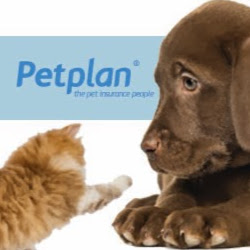 Petplan | insurance agency | 1/3 Smolic Ct, Tullamarine VIC 3043, Australia | 1300738225 OR +61 1300 738 225