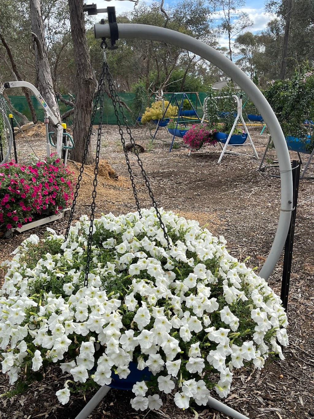 Kris Hobby Farm | 109 Junortoun Rd, Junortoun VIC 3551, Australia | Phone: 0468 462 192