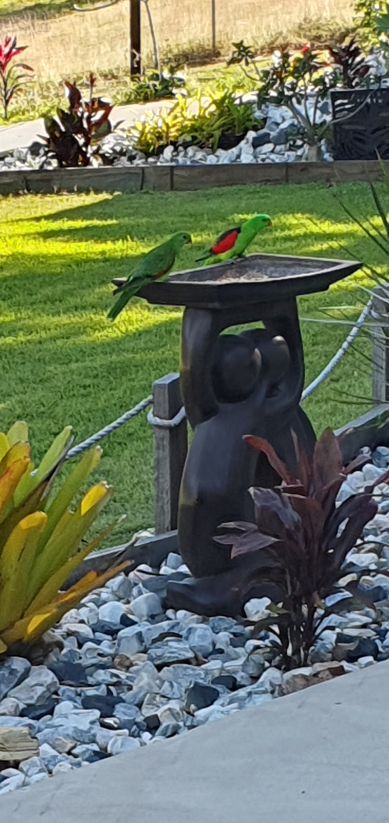 Bush to beach farmstay | 15 Tanby Post Office Rd, Tanby QLD 4703, Australia | Phone: 0408 464 790 Bush to beach farmstay | 15 Tanby Post Office Rd, Tanby QLD 4703, Australia | Phone: 0408 464 790