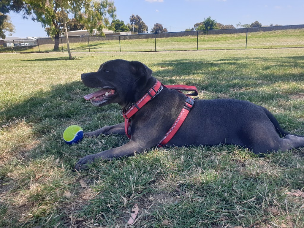 Dog Park | park | 6 Johns St, Corio VIC 3214, Australia