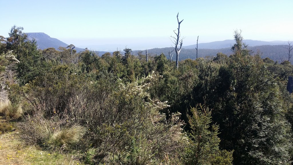 Liffey Forest Lookout | Highland Lakes Rd, Liffey TAS 7301, Australia