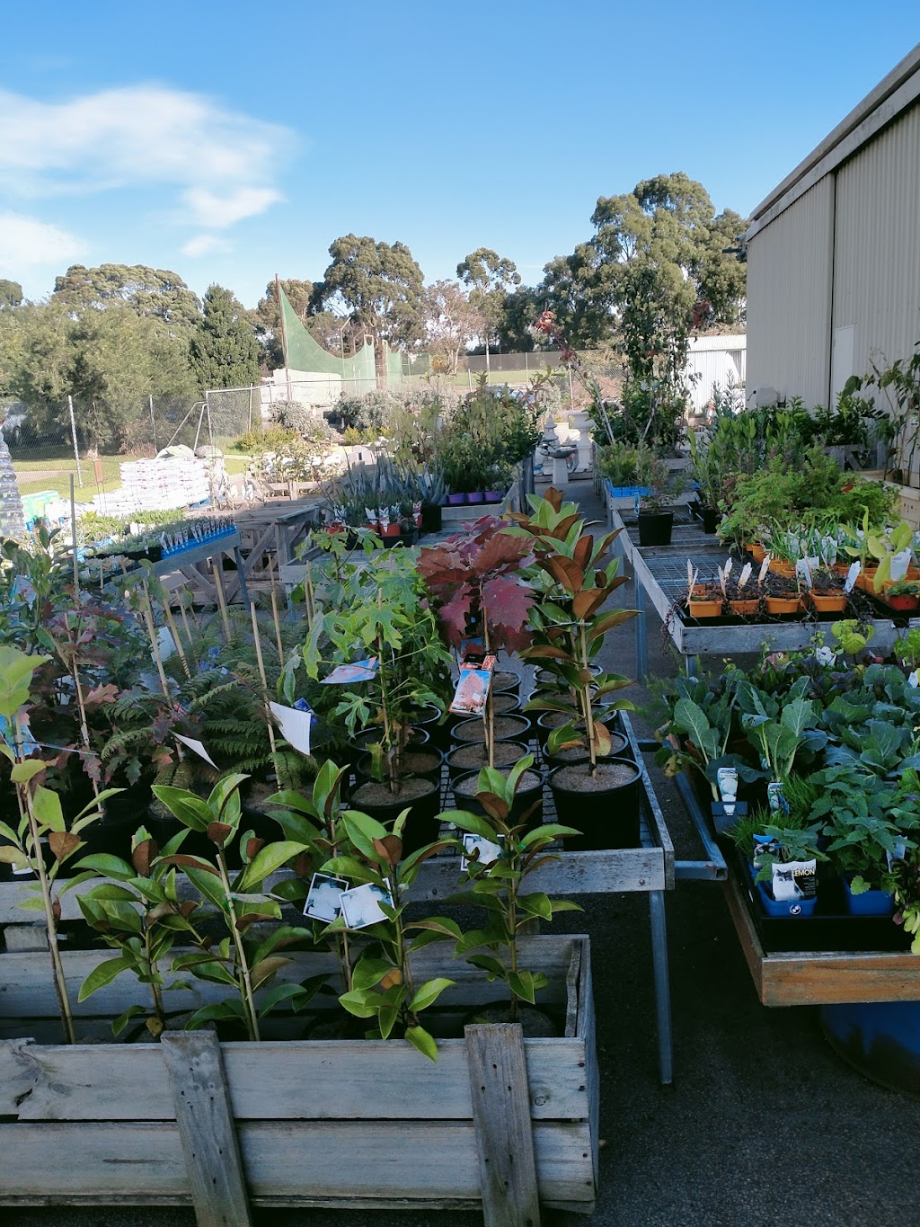 Outlook Environmental | 337 Racecourse Rd, Mornington VIC 3931, Australia | Phone: (03) 5973 6511