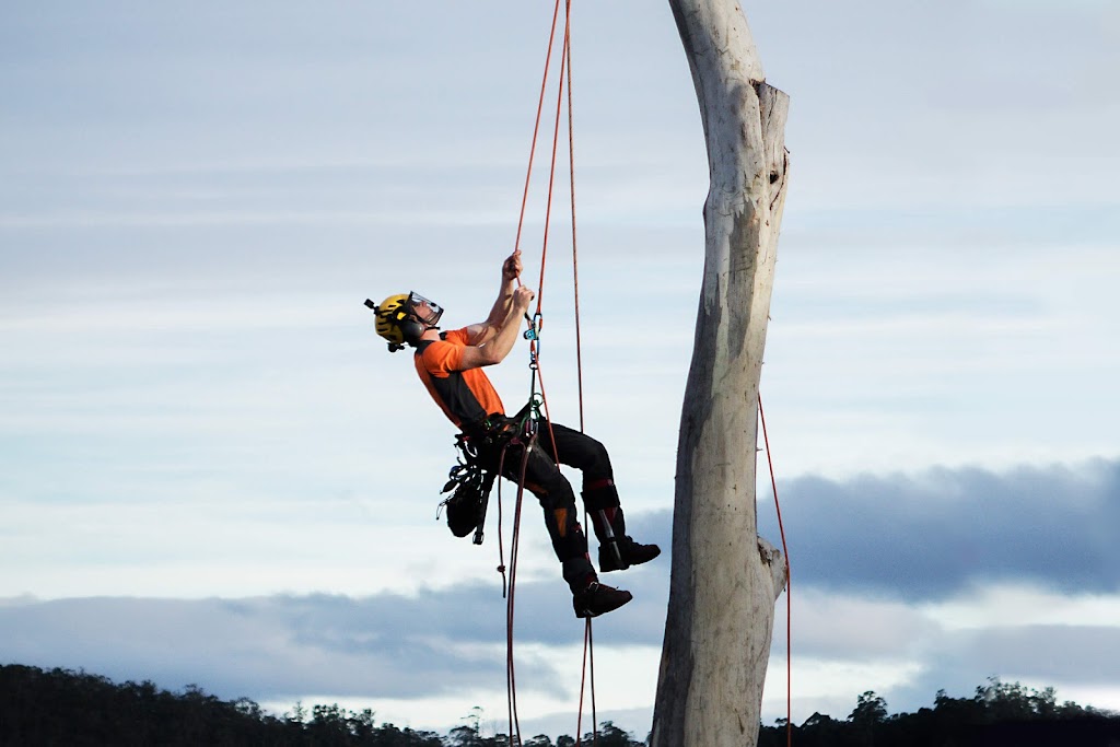 Charlie’s Tree Service | 731 Leslie Rd, Leslie Vale TAS 7054, Australia | Phone: 0428 246 211