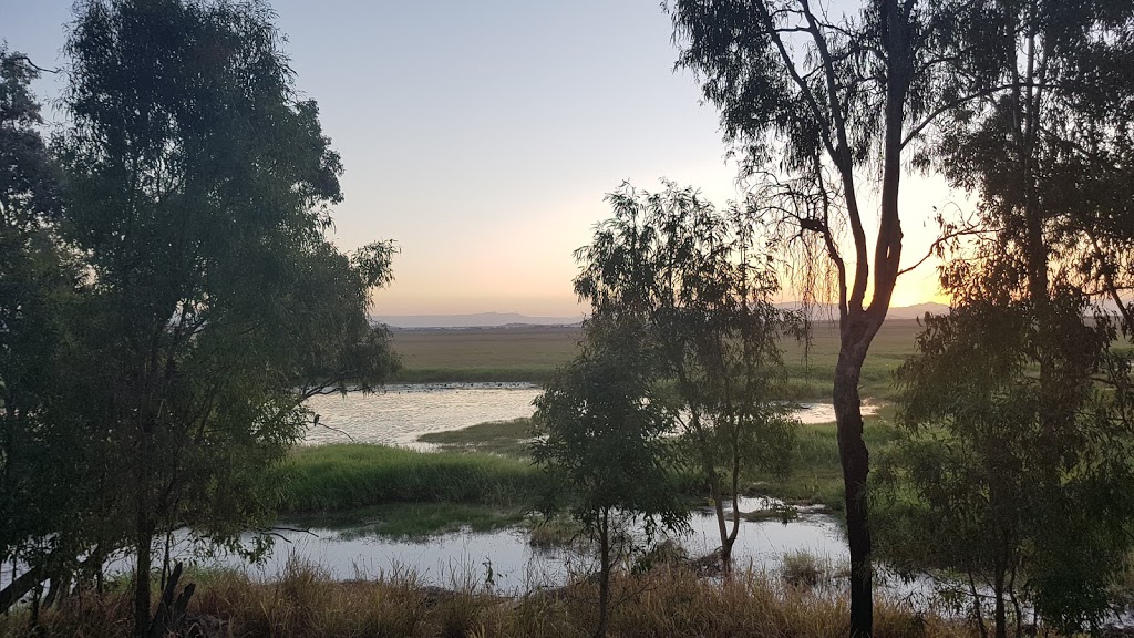 Payets Tower bird hide | Town Common QLD 4810, Australia