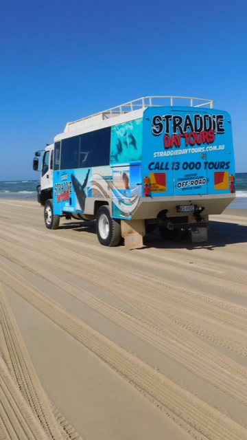 Straddie Day Tours | Queensland, Australia | Phone: 0438 800 284