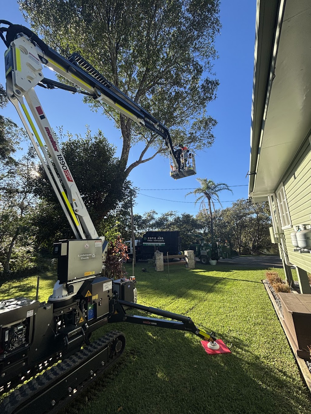 Espie Arb Tree Services | 286 Ocean Dr, Lakewood NSW 2443, Australia | Phone: 0423 329 111