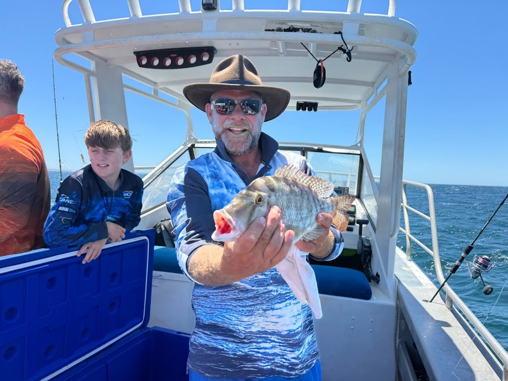 Monkey Mia Boat Hire Shark Bay | 60 Monkey Mia Rd, Denham WA 6537, Australia | Phone: 0487 421 690