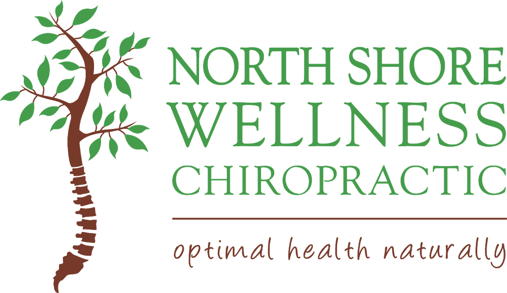 North Shore Wellness Chiropractic | 103 Kissing Point Rd, Turramurra NSW 2074, Australia | Phone: (02) 9449 3039