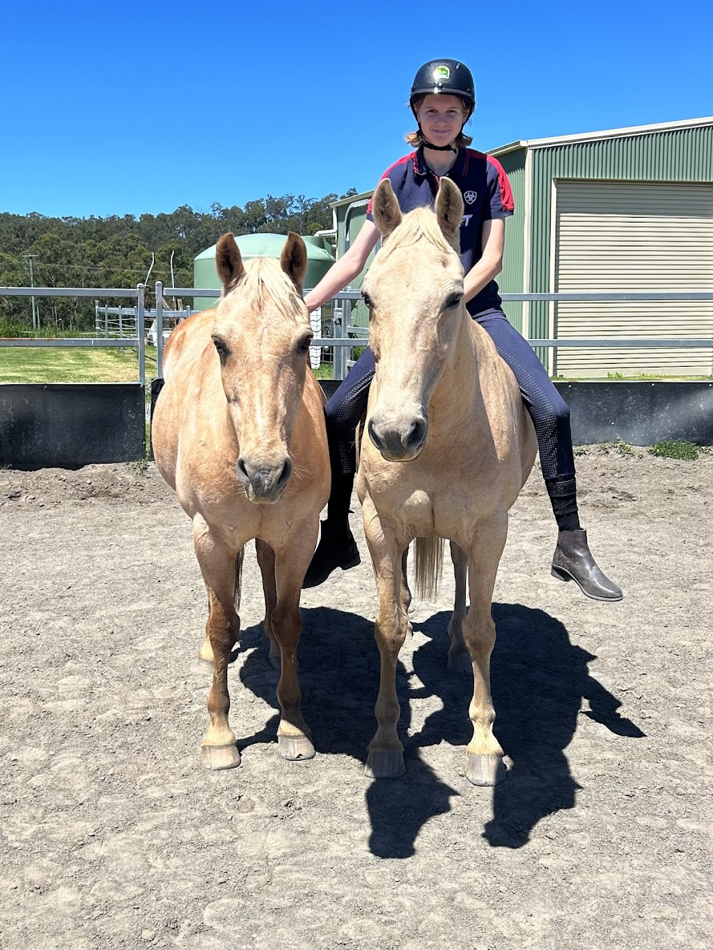 Sowter Equestrian | 15165 Pacific Hwy, Possum Brush NSW 2430, Australia | Phone: 0411 796 943