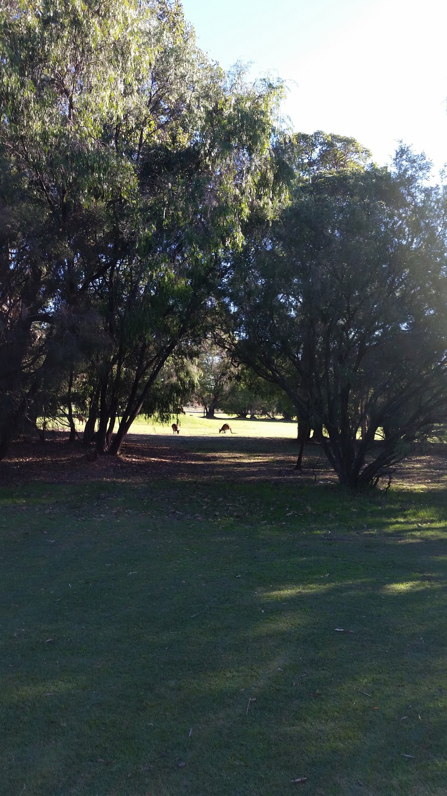 West Busselton 3 Par Golf Course | park | West Busselton WA 6280, Australia