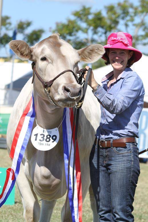 Murray Grey Beef Cattle Society | food | Agricultural Business Research Institute, University of New England, The Short Run, Armidale NSW 2351, Australia | 0267732022 OR +61 2 6773 2022