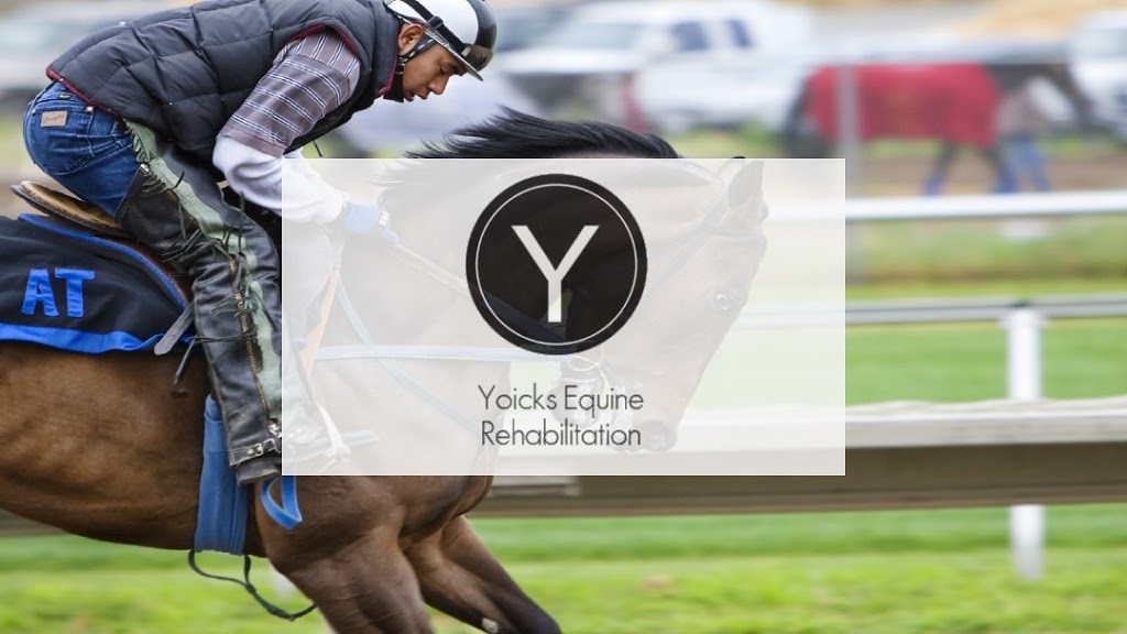 Yoicks Equine Rehabilitation and Eventing | 53 Boundary Rd, Coldstream VIC 3770, Australia | Phone: 0400 556 041