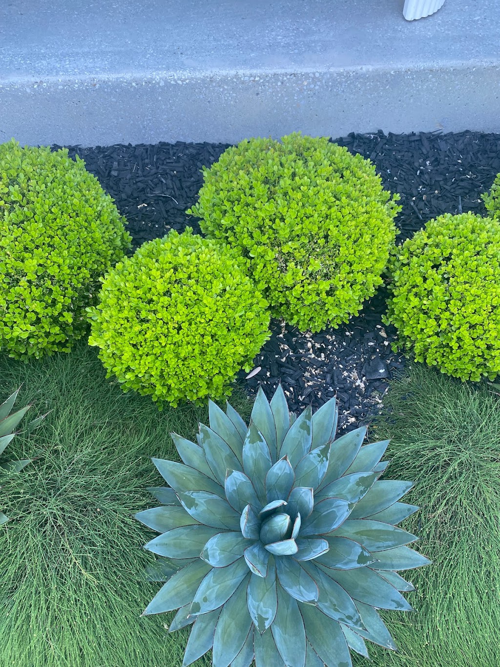 SweenScapes | 3 Margaret Pl, Albion Park NSW 2527, Australia | Phone: 0455 377 759