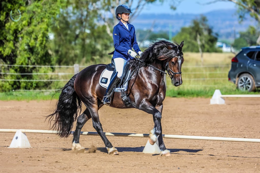 Equi-Guard | 300 Dixons Ln, Ramsay QLD 4358, Australia | Phone: 0488 787 616 Equi-Guard | 300 Dixons Ln, Ramsay QLD 4358, Australia | Phone: 0488 787 616