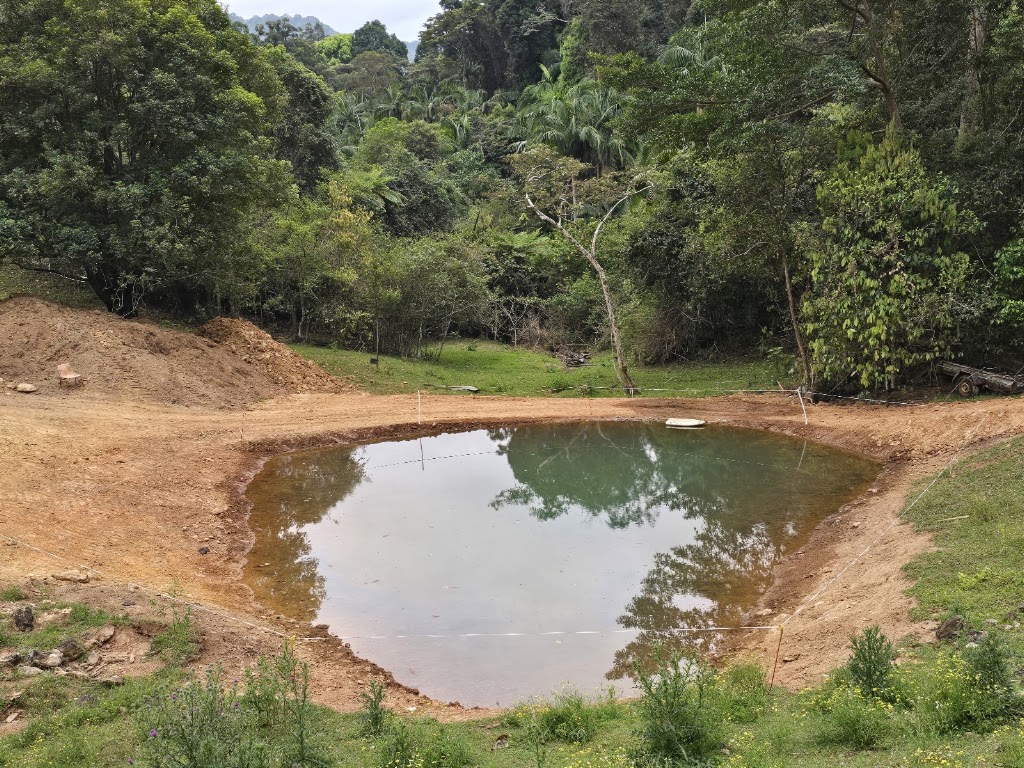 WinckX Excavators | 364 Tomewin Mountain Rd, Currumbin Valley QLD 4223, Australia | Phone: 0423 506 446