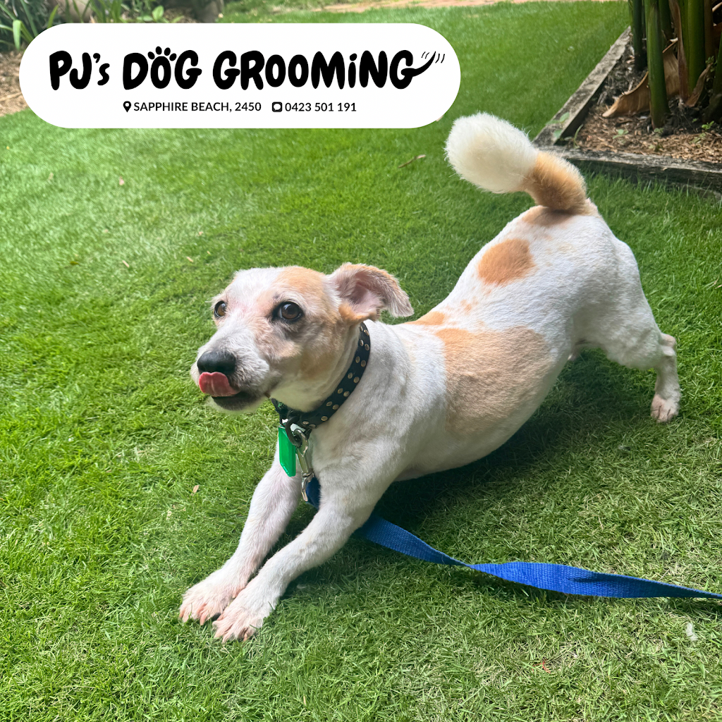 PJ’s Dog Grooming (Sapphire Beach, Coffs Harbour) | Lakeside Dr, Sapphire Beach NSW 2450, Australia | Phone: 0423 501 191