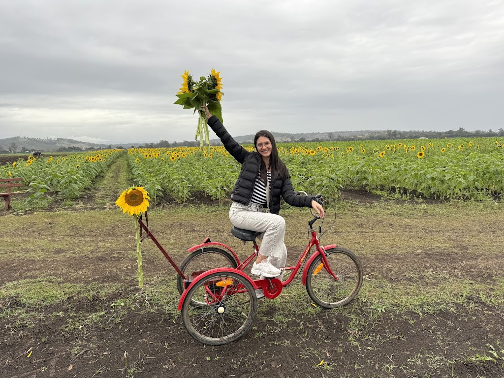 Sunflowers On Kents | 10 Kents Lagoon Rd, Kalbar QLD 4309, Australia | Phone: 0408 789 459