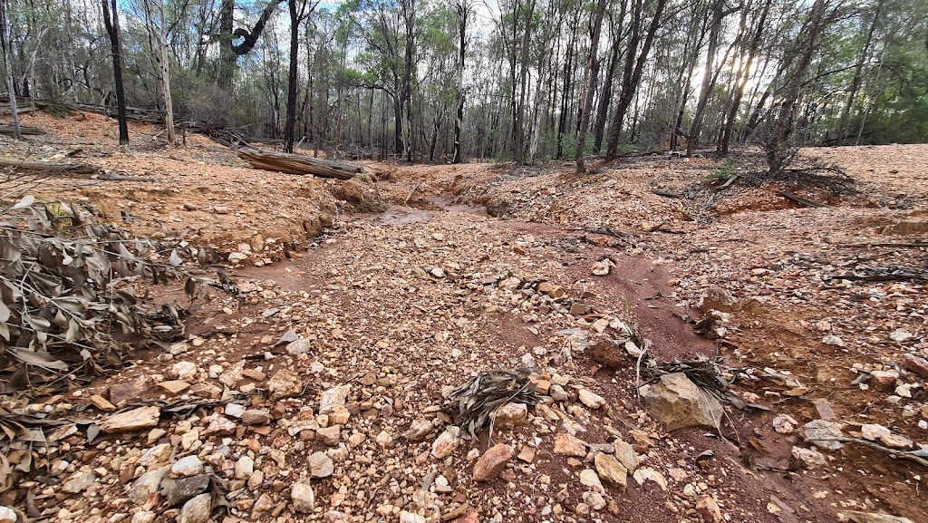 Bathampton General Permission Area | Clermont QLD 4721, Australia | Phone: (07) 4983 1211