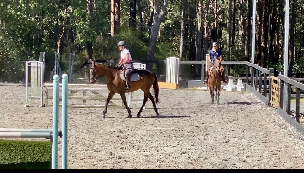 Terrey Hills Equestrian | 88 Eurabba Rd, Duffys Forest NSW 2084, Australia | Phone: 0488 210 548