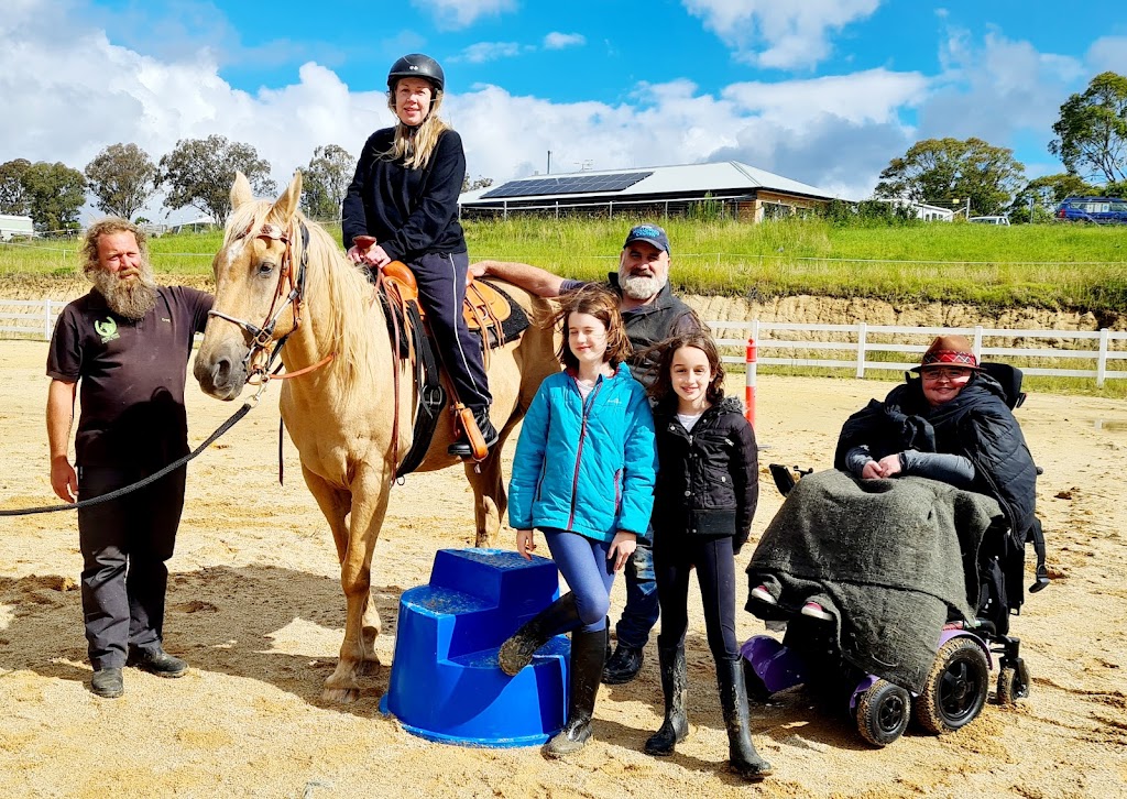 Amaroo Equine | 57c Ward Rd, Megalong Valley NSW 2785, Australia | Phone: 0407 063 915