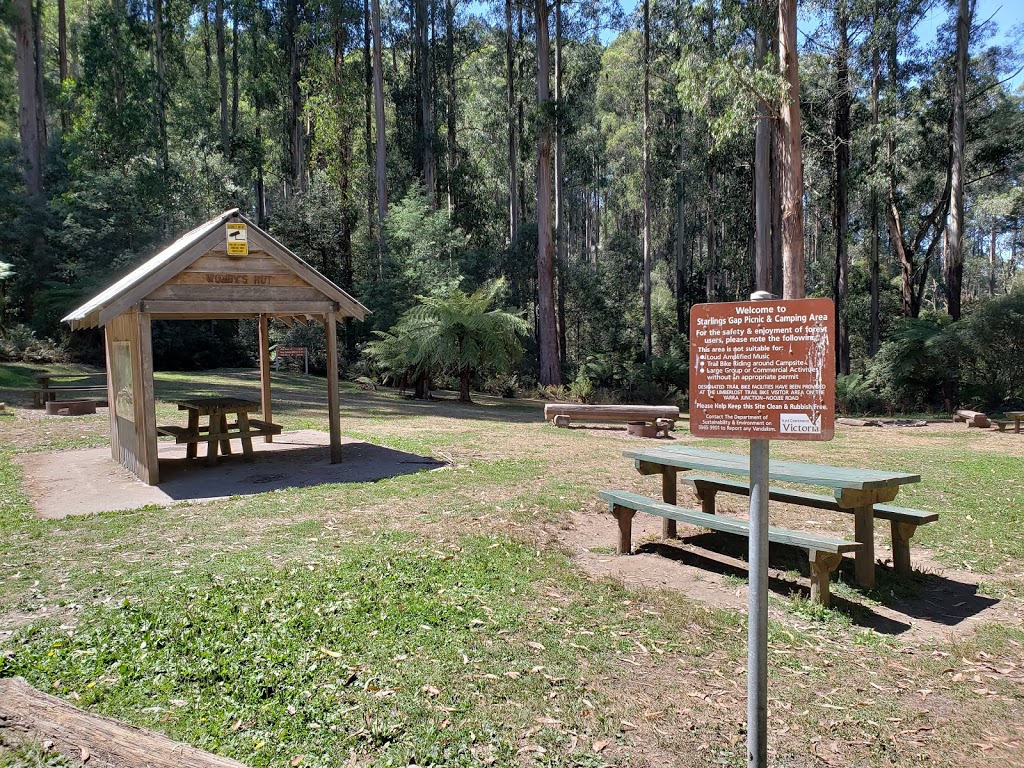 Starlings Gap campground | Big Creek Rd, Ada VIC 3833, Australia