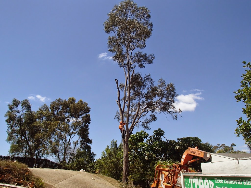 Treez Tree Service |  | Bonogin QLD 4213, Australia | 0428742947 OR +61 428 742 947