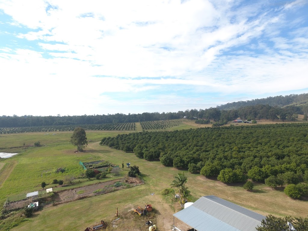 Waila Macadamias farm |  | 328 Mororo Rd, Mororo NSW 2469, Australia | 0416281248 OR +61 416 281 248