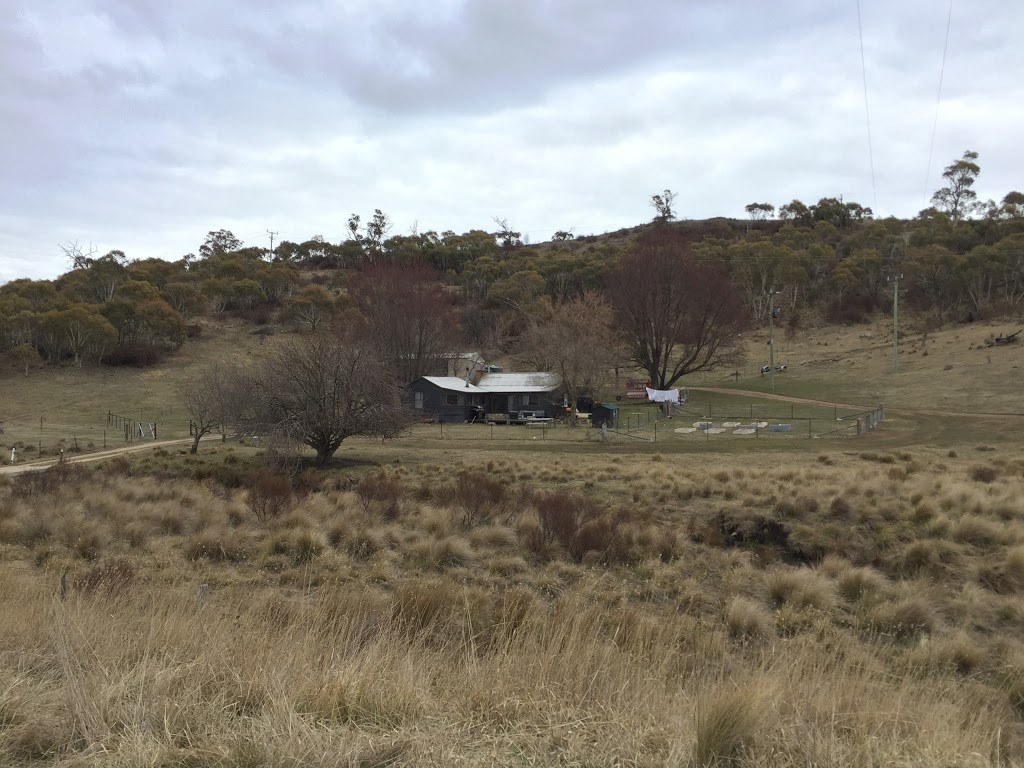 Snowy Mountains Truffles |  | 270 Alpine Way, Crackenback NSW 2627, Australia | 0408000071 OR +61 408 000 071