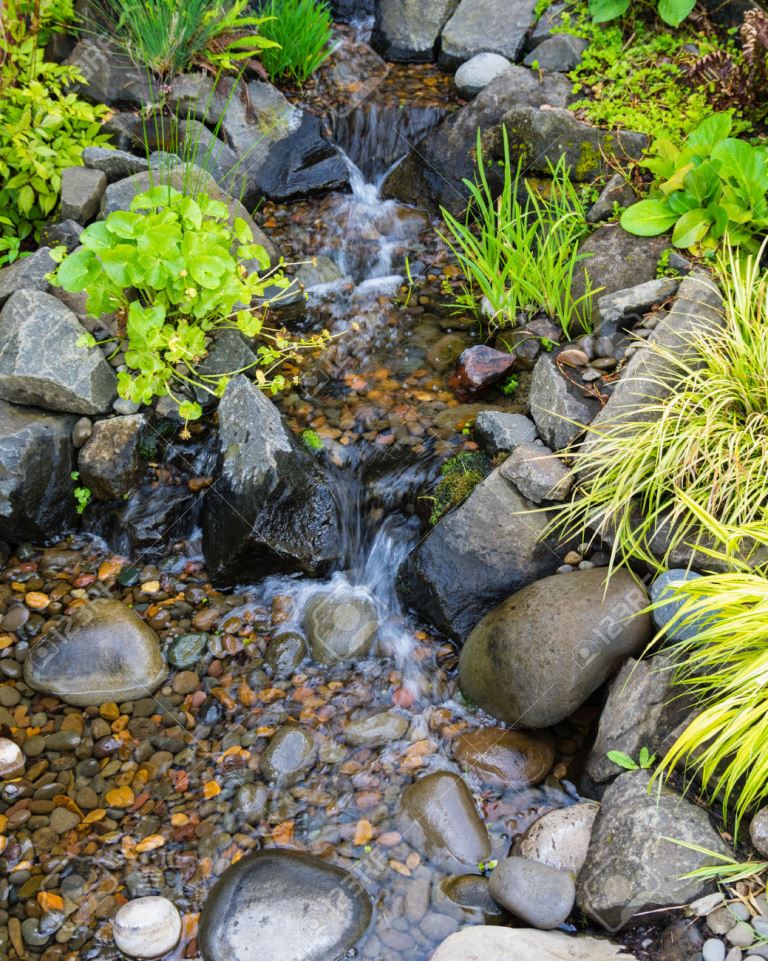 Plants & Water Features (63 Eirene St) Opening Hours