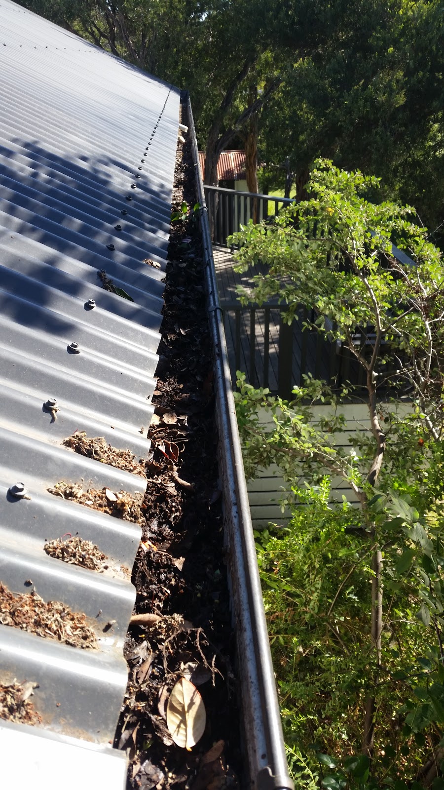 Gutters to Gardens | home goods store | 26 Belar Rd, Tootgarook VIC 3941, Australia | 0431341361 OR +61 431 341 361