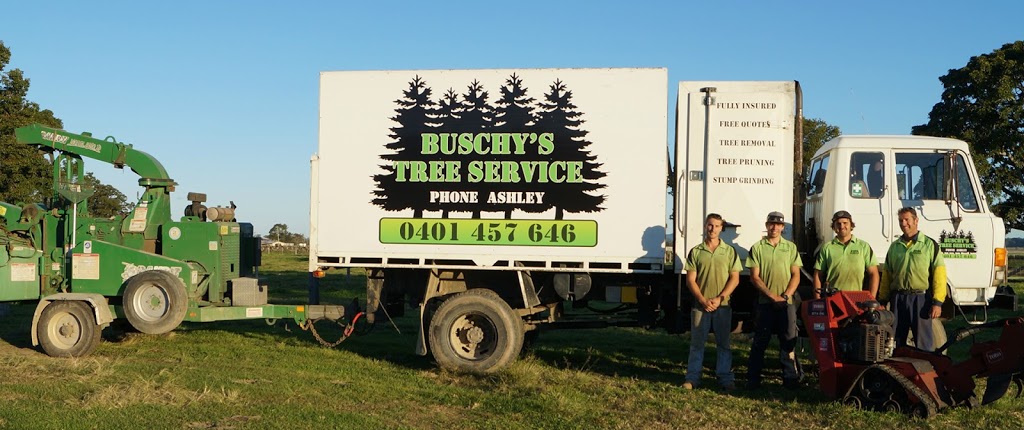 Buschys Tree Service | 483 Austral Eden Inner Rd, Austral Eden NSW 2440, Australia | Phone: 0401 457 646