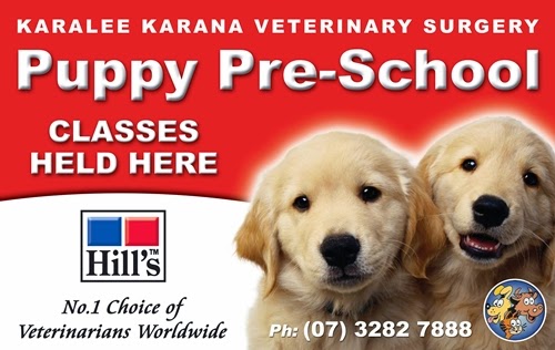 Ipswich Dog Training - Puppy PreSchool |  | 304 Mount Crosby Rd, Chuwar QLD 4306, Australia | 0423354832 OR +61 423 354 832