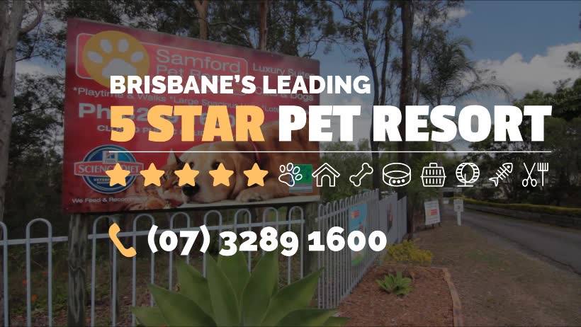 North Brisbane Pet Resort | 64 Beresford Dr, Draper QLD 4520, Australia | Phone: (07) 3289 1600