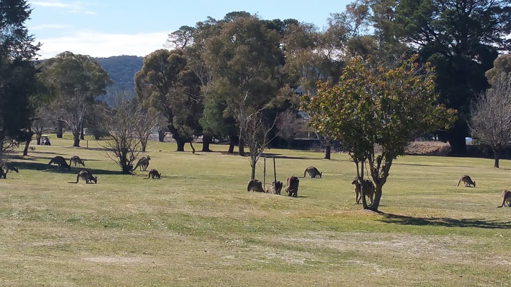 Lithgow Golf Club |  | 2 Golf Links Rd, Marrangaroo NSW 2790, Australia | 0263513164 OR +61 2 6351 3164