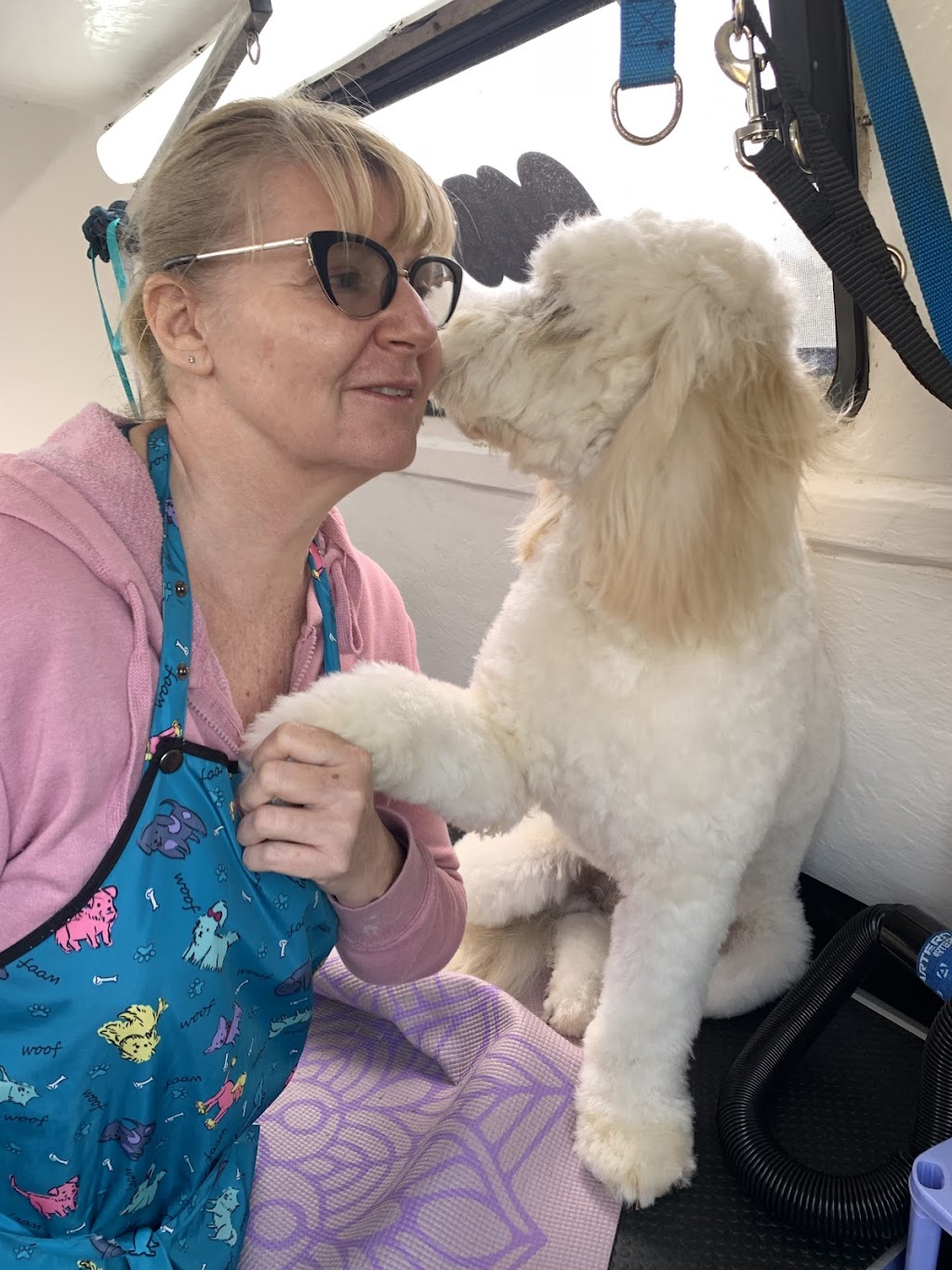 Pinup Pooch Parlour | 8 Ford Ave, Medowie NSW 2318, Australia | Phone: 0408 028 358