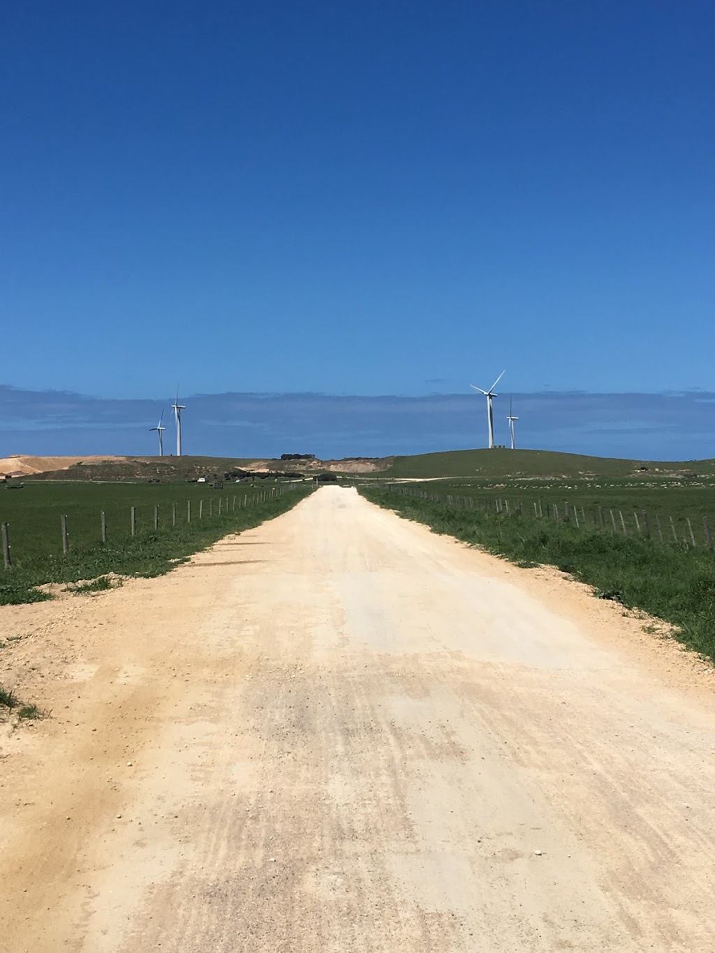 Codrington Wind Farm Viewing Area | Codrington VIC 3285, Australia | Phone: 0419 188 715