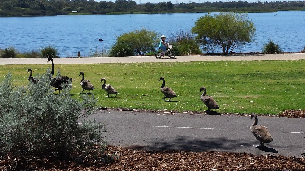 Beasley Park | park | 27 Wethered St, Leeming WA 6149, Australia