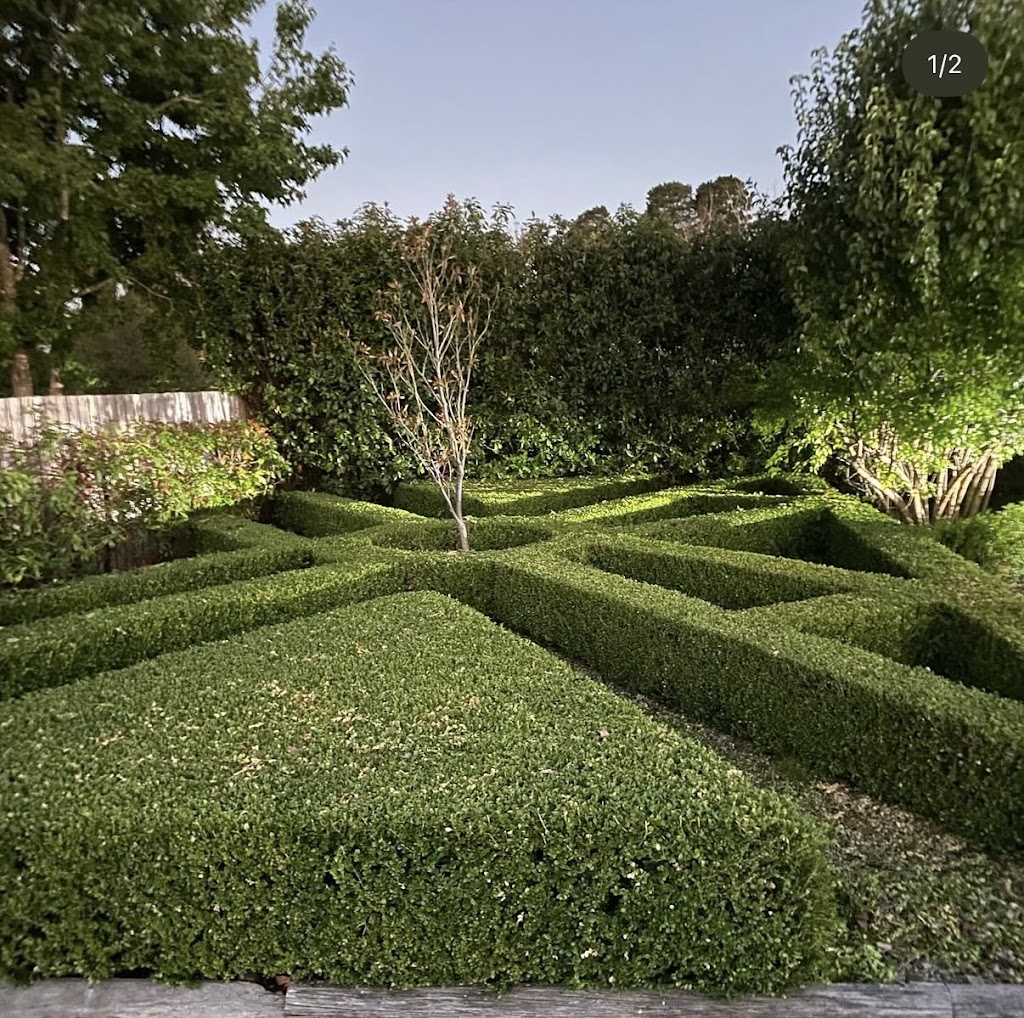 Highlands Hedging and Gardens | 1385 Wilson Dr, Colo Vale NSW 2575, Australia | Phone: 0452 399 294