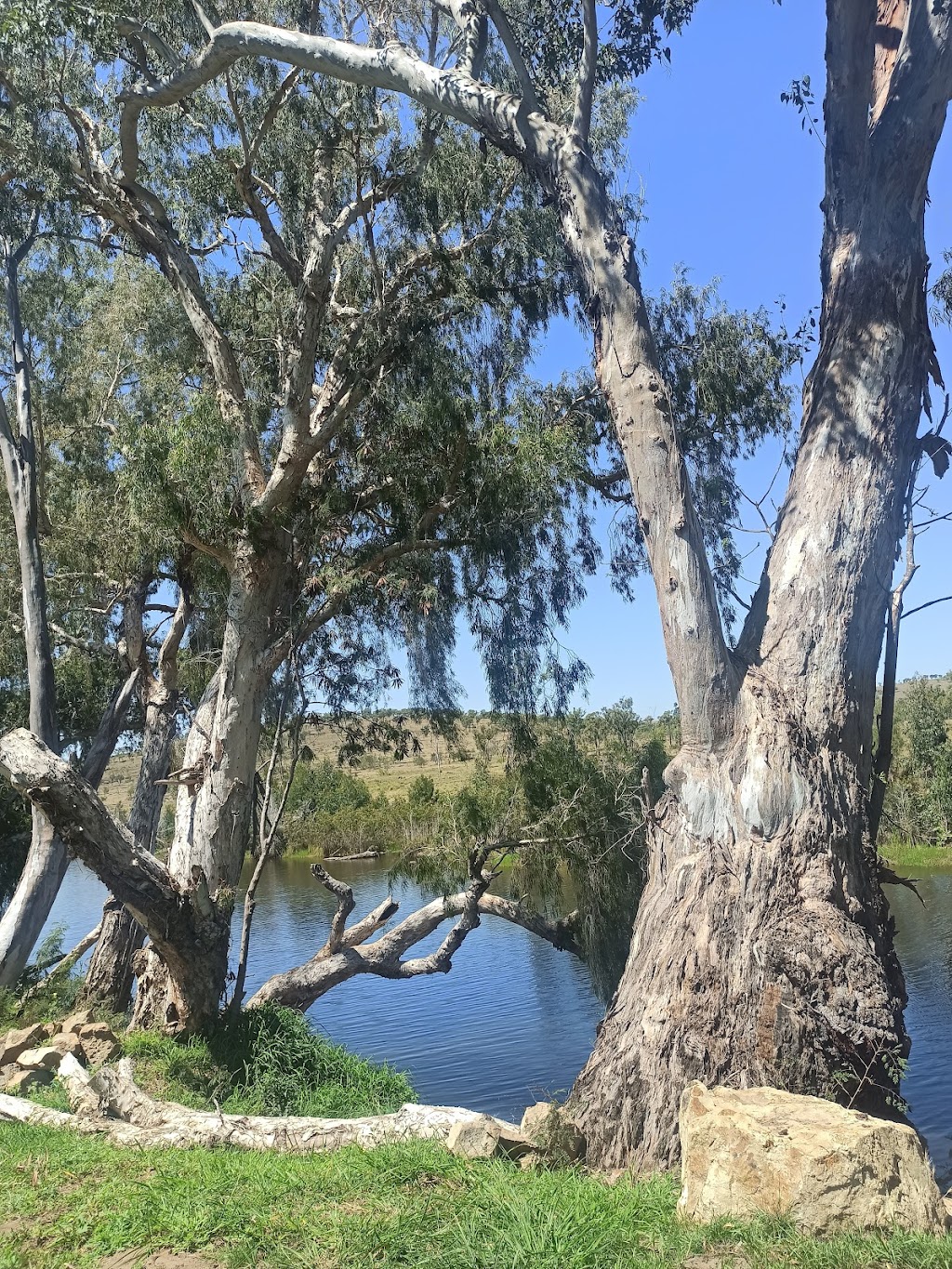 The Homestead @ Lotus Creek | 12287 Marlborough Sarina Rd, Lotus Creek QLD 4705, Australia | Phone: (07) 4956 8350