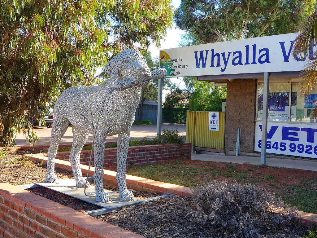 Whyalla Veterinary Clinic | veterinary care | 97 Mcdouall Stuart Ave, Whyalla Stuart SA 5608, Australia | 0886459926 OR +61 8 8645 9926