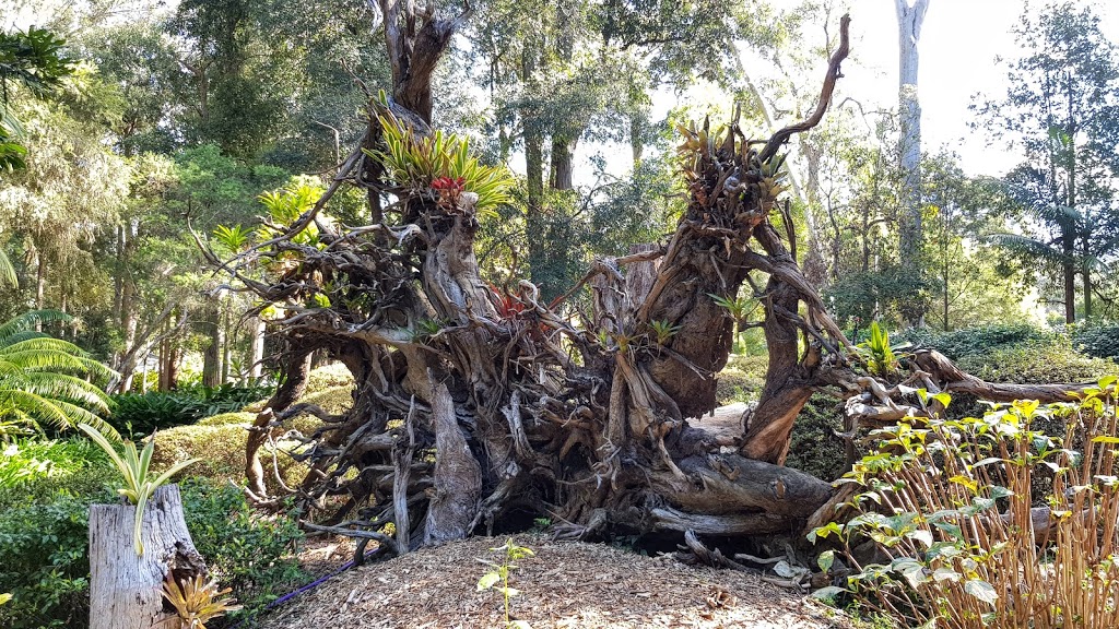 Botanic Gardens Parking | Coffs Harbour NSW 2450, Australia