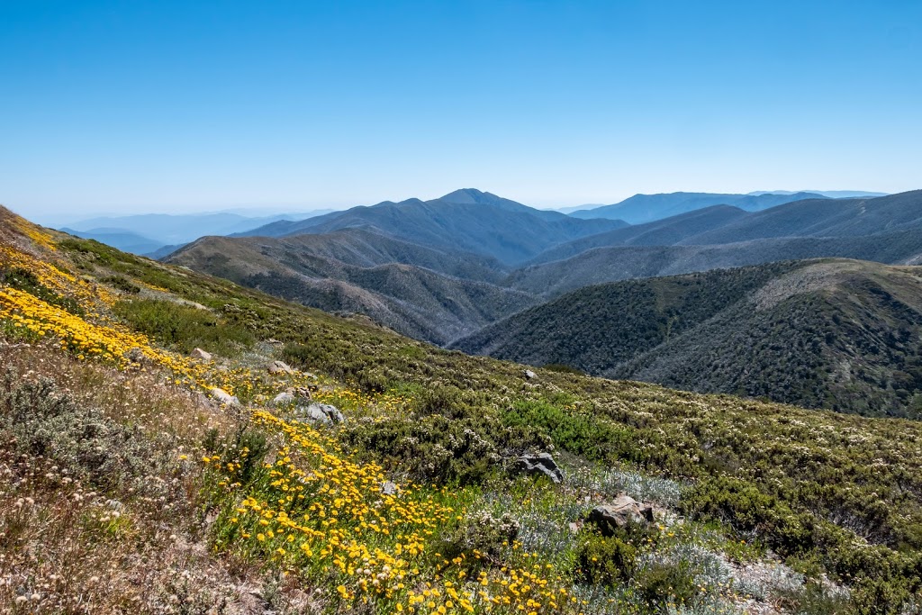 Razorback Hiking Trailhead | park | The Razorback, Hotham Heights VIC 3741, Australia