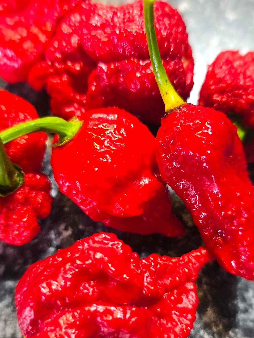 Byron Chilli Farm | 59A Kingsvale Rd, Myocum NSW 2481, Australia | Phone: 0418 192 565