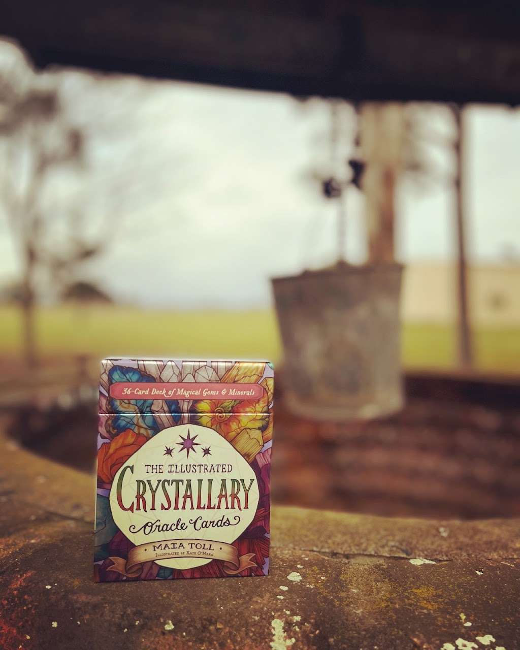 Everlush Oracle | 257 Holloways Rd, Sandy Beach NSW 2456, Australia | Phone: 0402 515 456