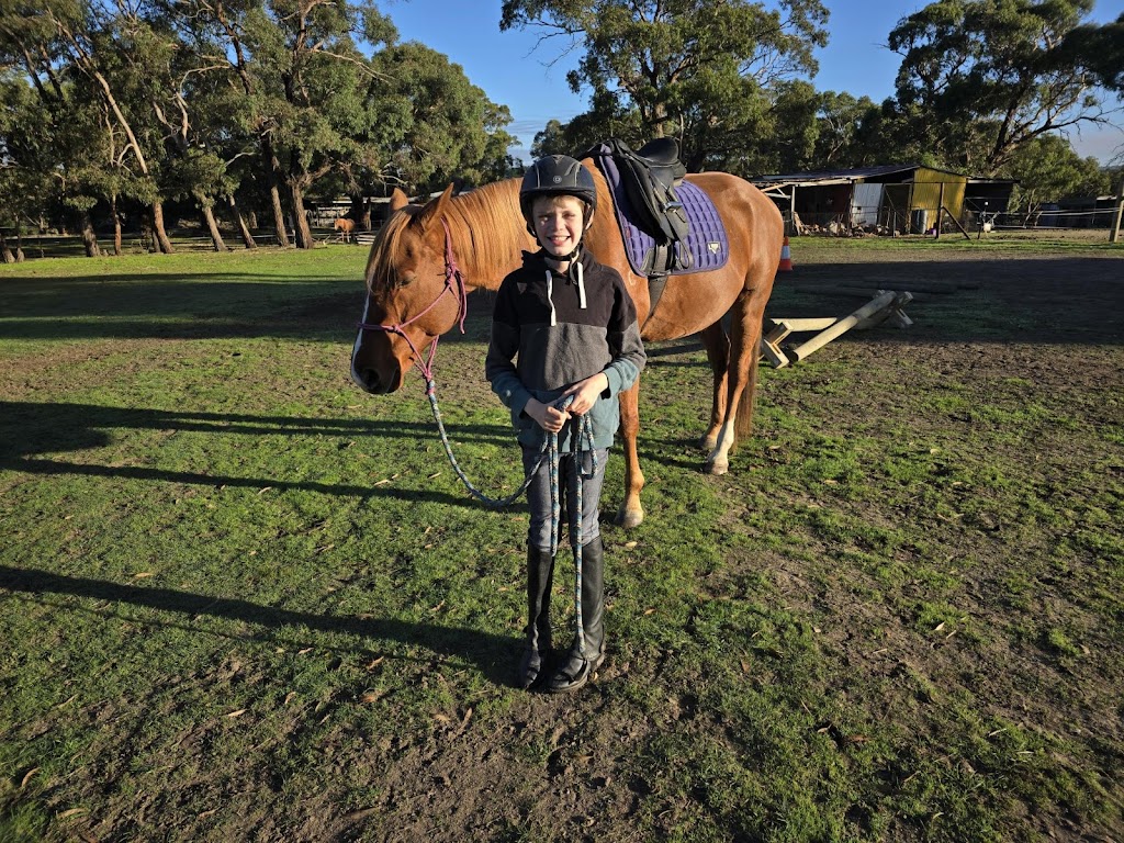 Rebel Equestrian Centre | 29 William Ct, Berringa VIC 3351, Australia | Phone: 0406 498 528