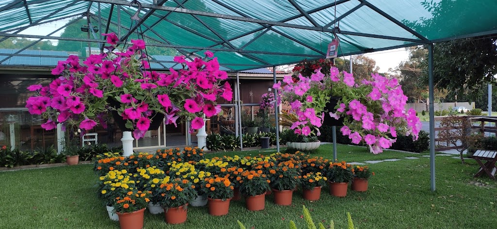Thien Vien Truc Lam Tieu Dao - Zen Buddhist Monastery | 71-77 Pietro Rd, Heatherton VIC 3202, Australia | Phone: 0421 366 795