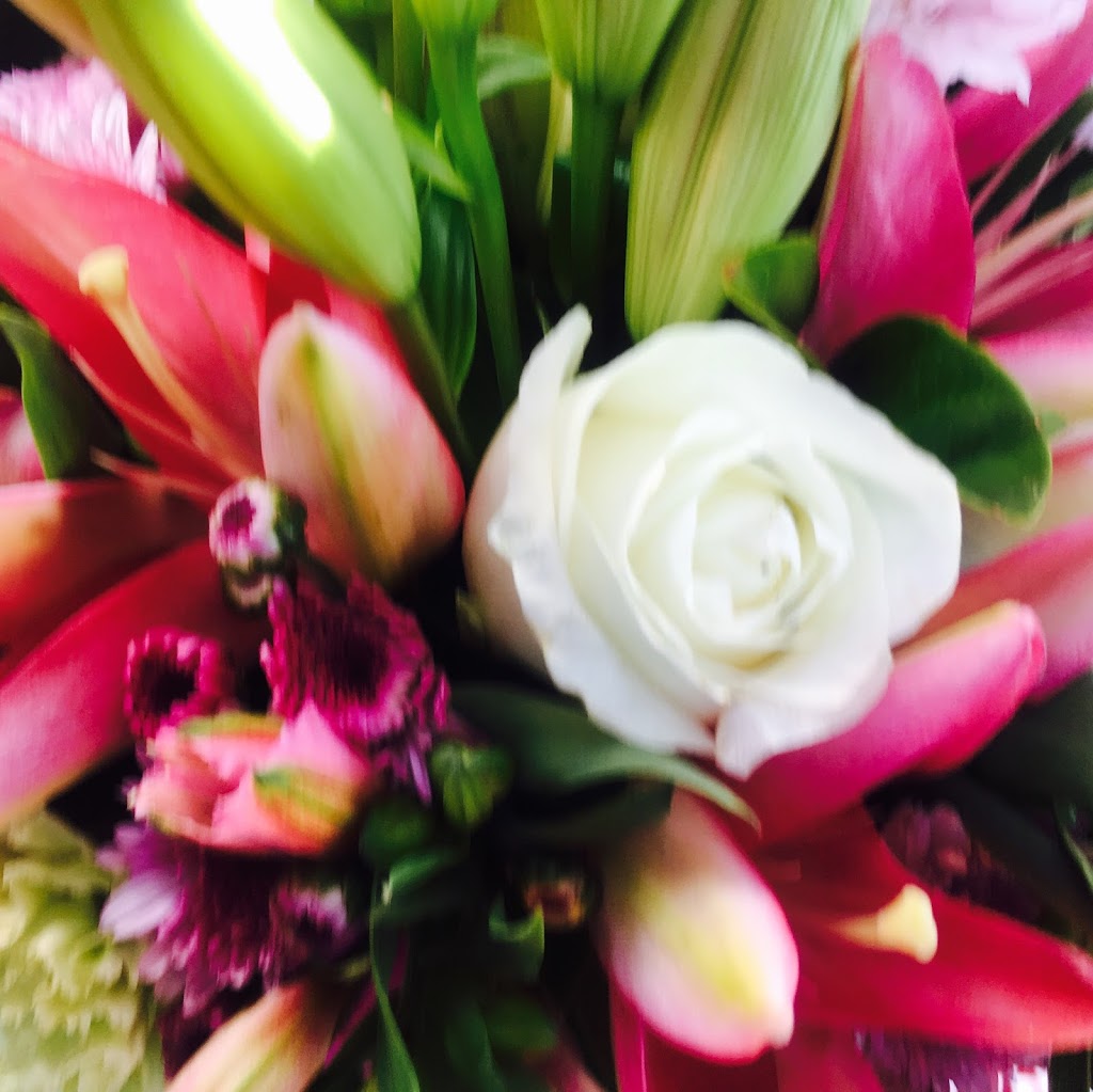 Harrington Flowers And Gifts | florist | 15 E Lansdowne Rd, Lansdowne NSW 2430, Australia | 0265561191 OR +61 2 6556 1191